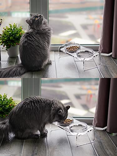  Dog And Cat Bowls Elevated Set,15°Tilted Acrylic Clear Pet Feeder Stand With 2 Glass Bowls And 2 Stainless Steel Bowls Raised Food Water Bowls Holder Perfect For Small Pets
