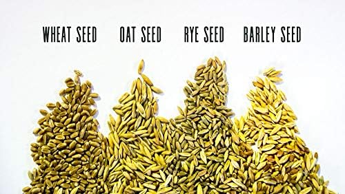  Thunder Acres Cat Grass Blend, Wheat, Barley, Oats, And Rye Mix, Non-GMO, Certified Organic, Bonus CAT Toy (5 LB)
