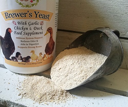  Fresh Eggs Daily Brewer's Yeast With Garlic Powder And Niacin For Ducks Feed Supplement Vitamins For Backyard Chickens 1LB