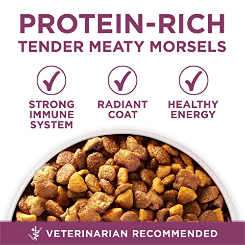  Purina ONE Plus Healthy Puppy Formula High Protein Natural Dry Puppy Food With Added Vitamins, Minerals And Nutrients - 31.1 Lb. Bag