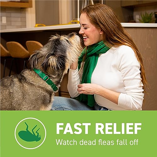  CAPSTAR (nitenpyram) Oral Flea Treatment For Dogs, Fast Acting Tablets Start Killing Fleas In 30 Minutes, Medium & Large Dogs (Over 25 Lbs), 6 Doses