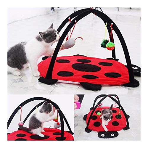 YangYan Foldable Kitten Tents Funny Pet Cat Tent Toys Pets Play Bed Toys Cat Play Mat Blanket House With Hanging Toy Cute Beetle Shape (Color : Red)