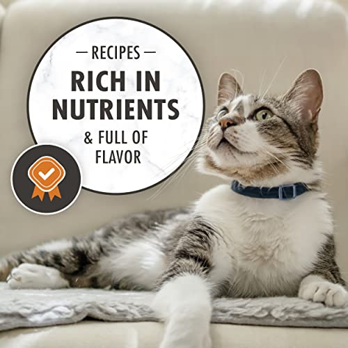  NUTRO WHOLESOME ESSENTIALS Natural Dry Cat Food, Adult Cat Chicken & Brown Rice Recipe Cat Kibble, 5 Lb. Bag