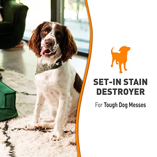  Nature's Miracle Dog Oxy Set-in Stain Destoyer 24 Oz