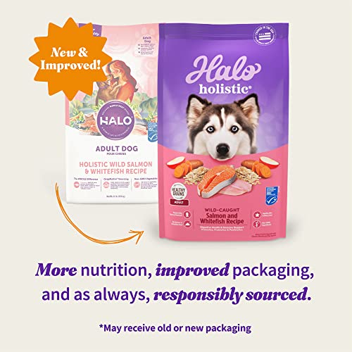  Halo® Holistic Adult Dog Healthy Grains Wild-Caught Salmon & Whitefish Recipe 3.5 Lb