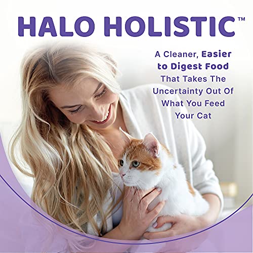  Halo Indoor Wet Cat Food, Grain Free, Seafood Medley 5.5oz Can (Pack Of 12)