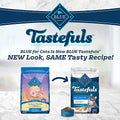  Blue Buffalo Tastefuls Indoor Natural Adult Dry Cat Food, Chicken 15lb Bag