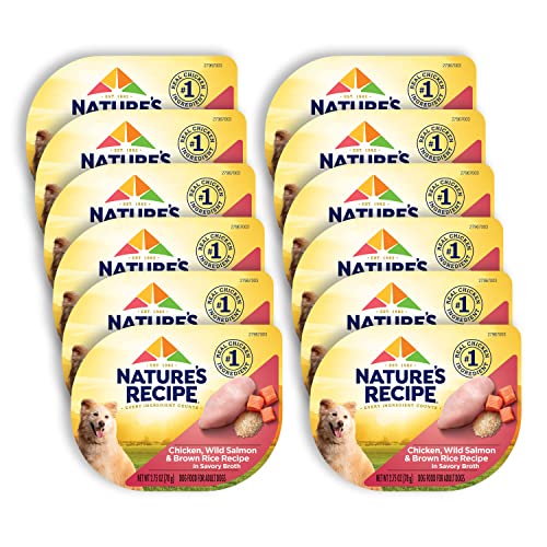  Nature's Recipe Wet Dog Food, Chicken & Wild Salmon In Broth Recipe, 2.75 Ounce Cup (Pack Of 12)