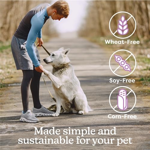  Gruffies Dog Treats - Nutrient-Rich, Guilt-Free Training Treats, Made In The USA, Enriched With Super Foods, Omega 3, Fiber, Protein, Soy-Free, Wheat-Free, Corn-Free Bundle Of 4 (170g Each)