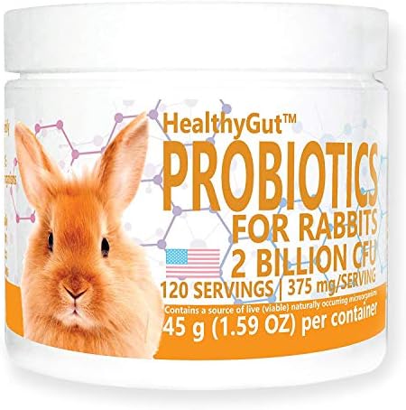  Equa Holistics HealthyGut Probiotics For Rabbits Dietary Supplement, All-Natural Digestive System Formula (120 Servings)