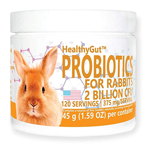  Equa Holistics HealthyGut Probiotics For Rabbits Dietary Supplement, All-Natural Digestive System Formula (120 Servings)