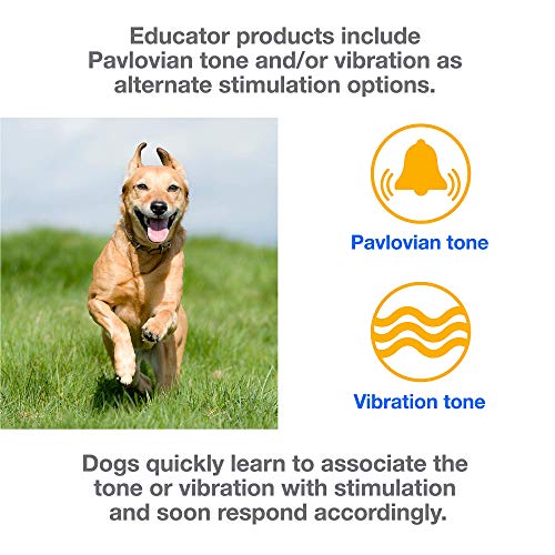  Educator Pro 1/2 Mile Dog Training Collar With Ergonomic Remote, Safe Humane Vibration Stimulation, Pavlovian Tone, Waterproof, Odorproof Biothane Collar, Night Light, Rechargeable, 3 Dog, Black