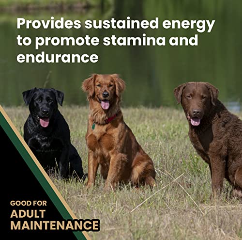  Victor Super Premium Dog Food – Performance Dry Dog Food – 26% Protein For Active Adult Dogs – Includes Glucosamine And Chondroitin For Hip And Joint Health, 40lbs