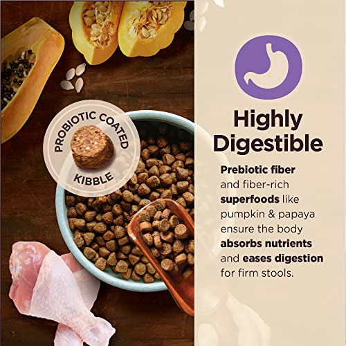  Wellness CORE Digestive Health Dry Senior Food With Wholesome Grains, Advanced Age For Dogs Over 7-Years Old, For Dogs With Sensitive Stomachs, Made In USA With Real Chicken (Senior, 24-Pound Bag)