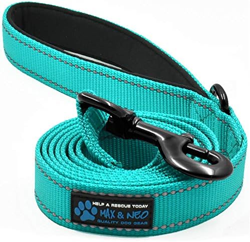  Max And Neo Reflective Nylon Dog Leash - We Donate A Leash To A Dog Rescue For Every Leash Sold (Purple, 4x1)