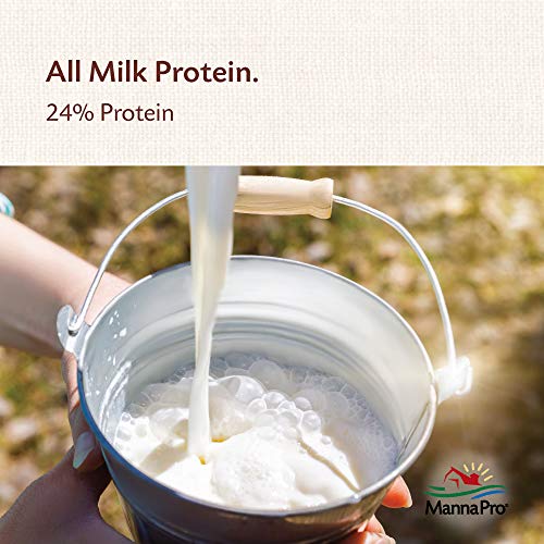  Manna Pro Nurse All Multi-Species Milk Replacer | Great For Puppies And Kittens | 3.5 Lb