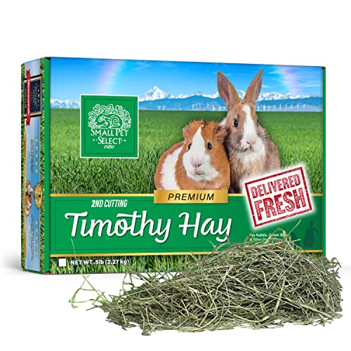  Small Pet Select 2nd Cutting Perfect Blend Timothy Hay Pet Food For Rabbits, Guinea Pigs, Chinchillas And Other Small Animals, Premium Natural Hay Grown In The US, 10 LB