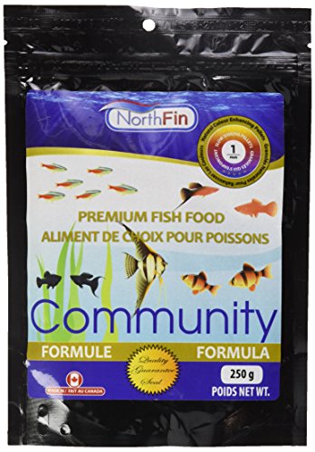  Northfin Community