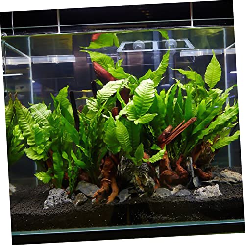  NOGRAX 1pc Fish Tank Feeding Ring Accessory Tray Reptiles Feeder Bowl Suction Cup Fish Feeder Transparent Shrimp Feeder Acrylic Freshwater Feeder
