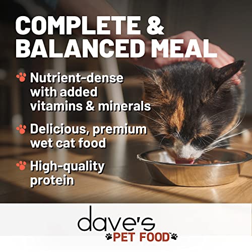  Dave's Pet Food Grain Free Wet Cat Food (Chicken), Made In USA Naturally Healthy Canned Cat Food, Added Vitamins & Minerals, Wheat & Gluten-Free, 12.5 Oz (Case Of 12)