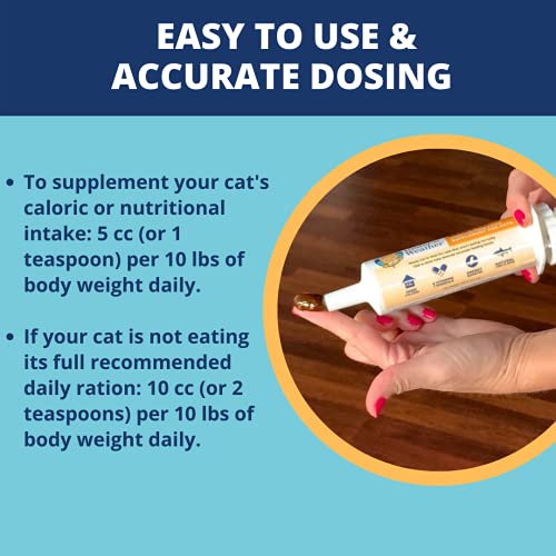  Under The Weather Pet | Ready Cal For Cats 100cc | High Calorie Supplement | Cat Weight Gainer And High Calorie Booster | 10 Vitamins, 7 Minerals & Omega Fatty Acids (for Cats 100cc)