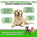  Flea And Tick Prevention For Dogs Chewables - Made In USA - Natural Flea And Tick Supplement For Dogs Chews- Oral Flea Pills For Dogs - No Mess | No Collars - All Breeds And Ages - Tasty Soft Tablets