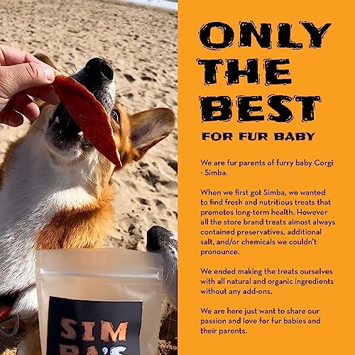  SIMBA'S WAY - Salmon Skin Bites Dog And Cat Treats, Organic Human Grade, Single Ingredient, All Natural, Grain-Free, No Preservatives, Made In The USA. [ 3 .oz ] [ 2 Pack ]