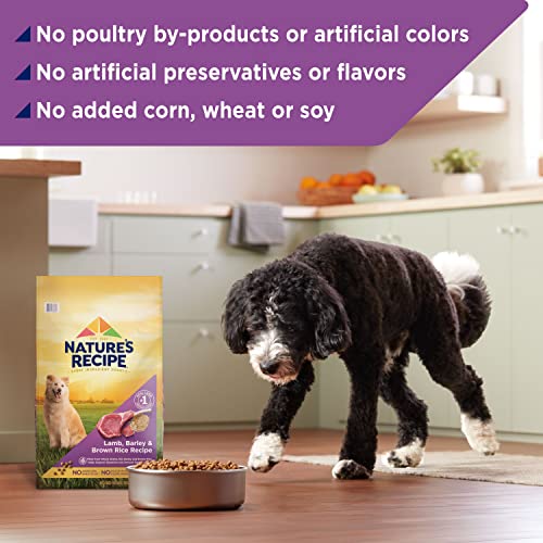  Nature’s Recipe Original Dry Dog Food For Adult Dogs, Lamb & Rice Recipe, 12 Lb Bag
