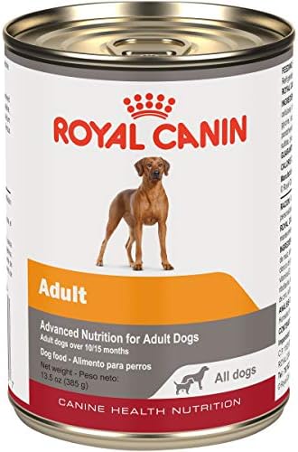  Royal Canin Canine Health Nutrition Adult In Gel Canned Dog Food, 13.5 Oz (Pack Of 12)