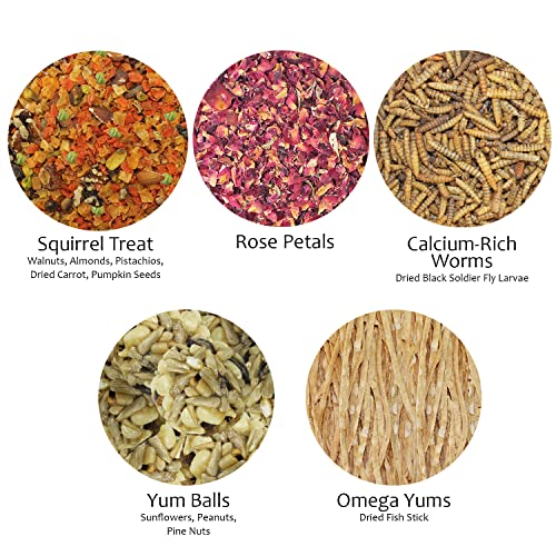  Squirrel Treat Bundle - Natural Healthy Assortment - Fruits, Veggies, Nuts, & Chews - Flying Squirrels, Ground Squirrels, Tree Squirrels, Chipmunks, Groundhogs, Prairie Dogs & Other Rodents