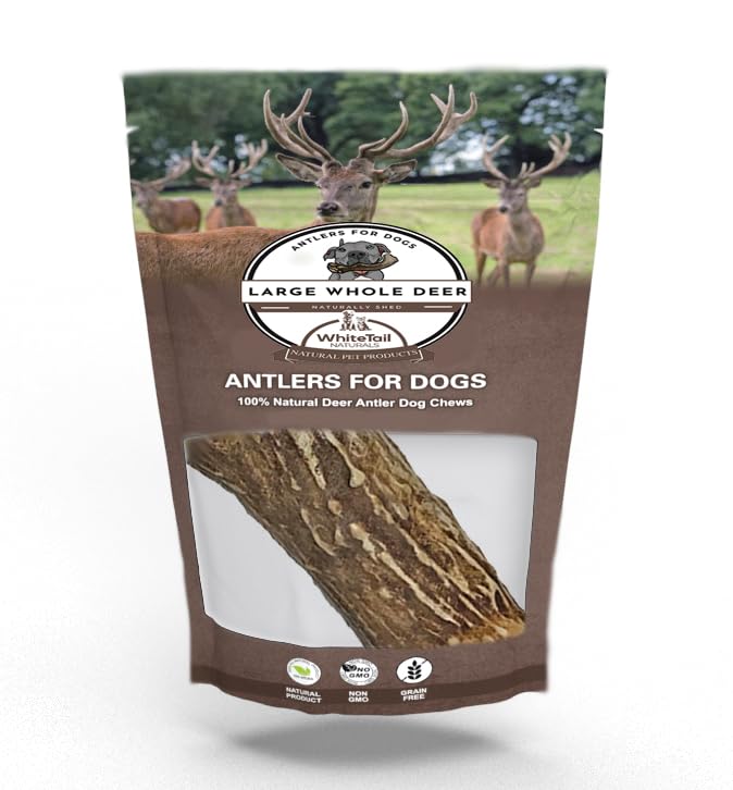 WhiteTail Naturals | Premium Deer Antlers For Dogs (Large) | All Natural Antler Dog Chew | Naturally Shed, Long Lasting Chew Bone, Made In USA (Large (Best For Dogs 40-60 Lbs))