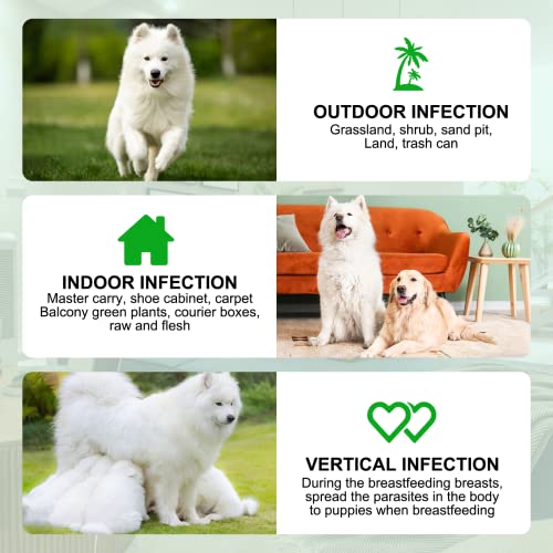  Flea And Tick Prevention For Dogs, 150 Flea & Tick Prevention For Dogs Chewable, Natural Flea And Tick Supplement For Dogs, Oral Flea And Tick Treats For Dogs, Flea And Tick Chews For Dogs,Duck Flavor