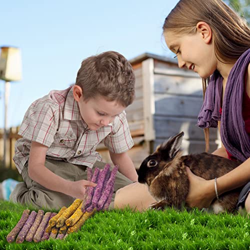  Hamiledyi 72PCS Timothy Hay Sticks Rabbit Chew Toys Mixed Natural Bunny Molar Sticks Guinea Pig Molar Rod Treats For Chinchilla Hamster And Other Small Animals Molars Snack Toys