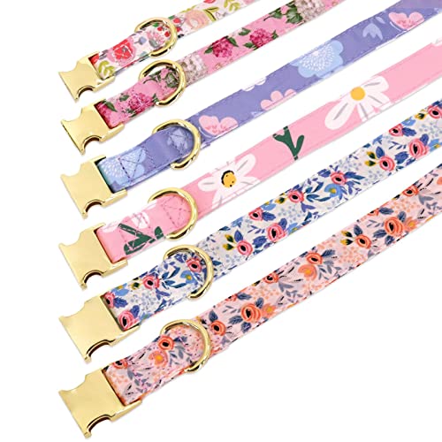  Beirui Cute Girl Dog Collar And Leash Set For Female Dogs- Floral Dog Collar With Flower For Small Medium Large Dogs Puppy, M:Neck 13-21", Leash 5FT, Purple-1