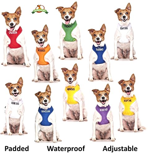  DO NOT Feed (Dog Is On A Diet/Has Food Allergies) Purple Colour Coded S-M L-XL Dog Collars Prevents Accidents By Warning Others Of Your Dog In Advance (L-XL)