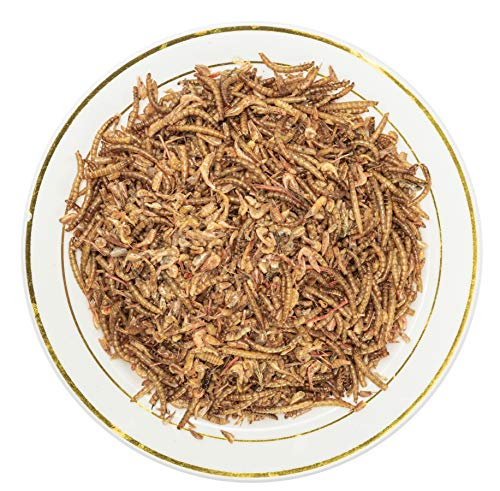  Appetizing Mealworms With Dried River Shrimp (8oz) All Natural 100% Non-GMO,Surf & Turf, Chicken, Fish, Ducks, Wild Birds, Turtles, Hamsters, Fish, And Hedgehogs