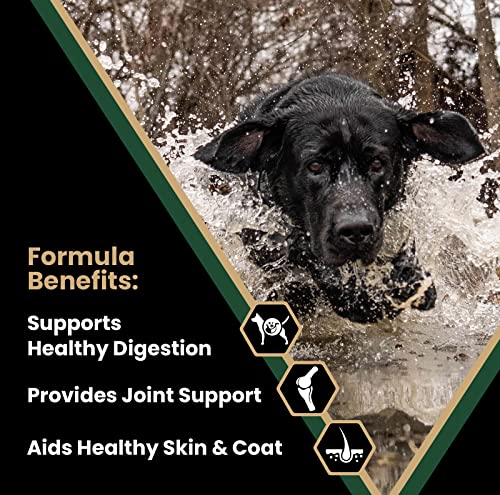  Victor Super Premium Dog Food – Performance Dry Dog Food – 26% Protein For Active Adult Dogs – Includes Glucosamine And Chondroitin For Hip And Joint Health, 40lbs