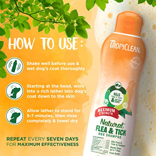  TropiClean Maximum Strength Natural Flea And Tick Dog Shampoo, Natural Flea And Tick Prevention For Dogs, Made In The USA, 20oz