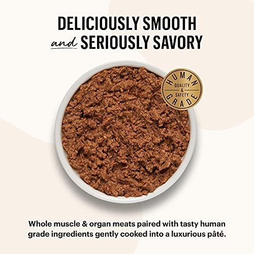  The Honest Kitchen Câté™ Grain Free Turkey Pâté Wet Cat Food, 5.5 Oz (Pack Of 12)