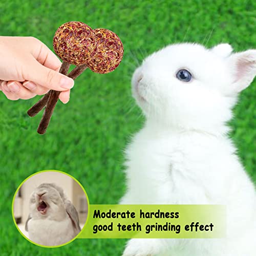  16 Pcs Rabbit Natural Timothy Hay Sticks Guinea Pig Natural Flowers Lollipop Chew Toys Timothy Hay Sticks Wood Molar Toys Small Animal Chew Treats For Bunny Hamsters Chinchillas Gerbils