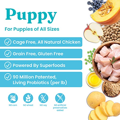  Solid Gold Dry Puppy Food - Made With Real Chicken & Nutritious Superfoods - Love At First Bark Grain Free Puppy Dry Food To Promote Healthy Growth, High Energy And Gut Wellness