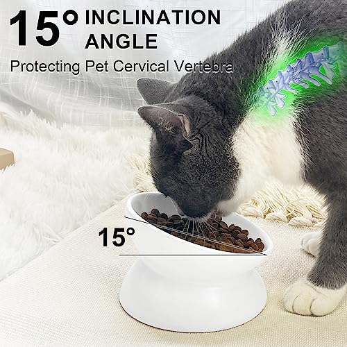 GENERIC PAILUOMU Ceramic Raised Cat Bowl, Set 2 Tilted Elevated Pet Food And Water Bowls, Stress Free Cat Dog Feeder Dish, Suitable For Small, Medium Cats And Dogs,White