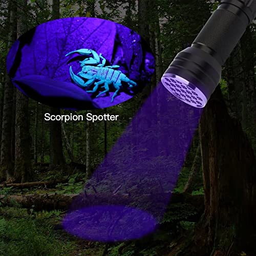  GRABOTE UV Flashlight 395nm LED Blacklight, 1 Switch Mode Lighting Effect Design Flashlights, 2 Pack Mini Flashlights Show Pets Urine Strains, Food Stains On Carpet Furniture Floor