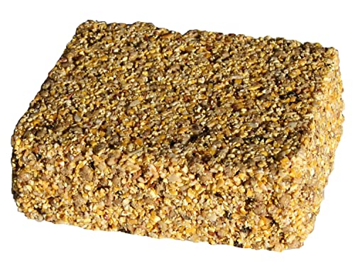  C&S Squirrel Snak, 6 Pack
