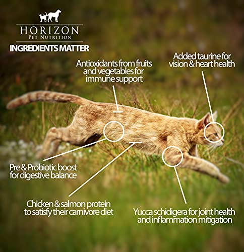  Horizon Legacy Cat & Kitten - 6.6 Lb