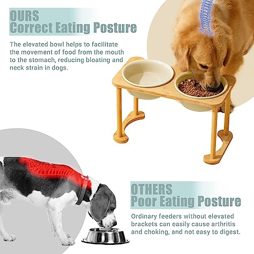  SPUNKYJUNKY Ceramics Elevated Dog Bowls Raised Dog Bowls With Non-Slip Stand For Medium Large Dog Food And Water Pet Feeding Bowl(Double 56OZ Bowl,Cream White)