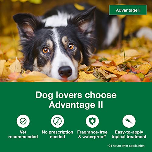  Advantage II Large Dog Vet-Recommended Flea Treatment & Prevention | Dogs 21-55 Lbs. | 4-Month Supply