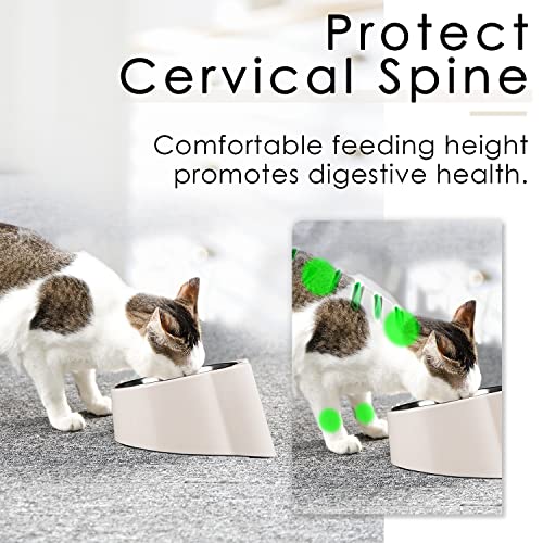  CATPRO Tilted Cat Food Bowls,15°Slanted Cat Feeder Bowl Orthopedic Cat Bowl Anti-Vomiting Spill Proof Raised Cat Food Bowl Stainless Steel Tilted Angled Cat Food Bowls White