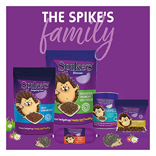  Spikes Delicious Dry 2.5 Kg