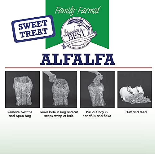  Grandpa's Best ALF10 10 Lb Alfalfa Hay Bale (Packaging May Vary )